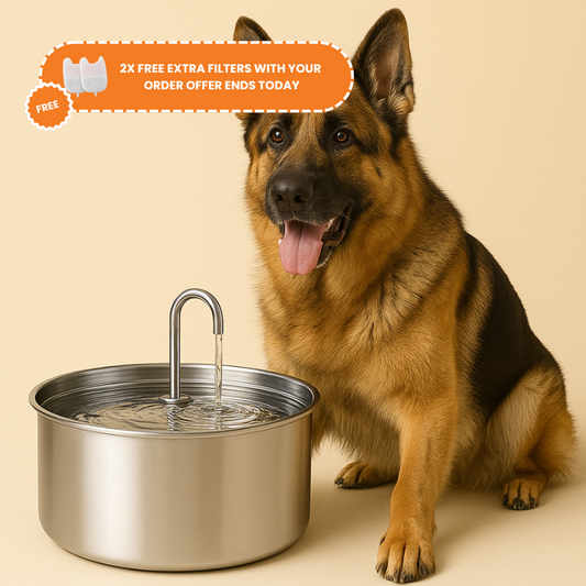 Pakloo™ - Electric Dog Fountain